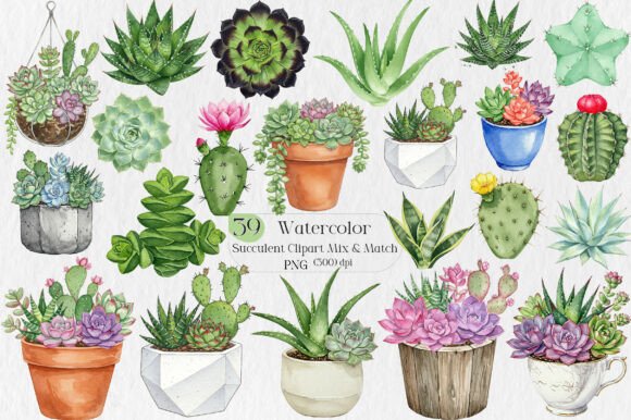 Watercolor Succulent Clipart Mix & Match: A Designer's Guide